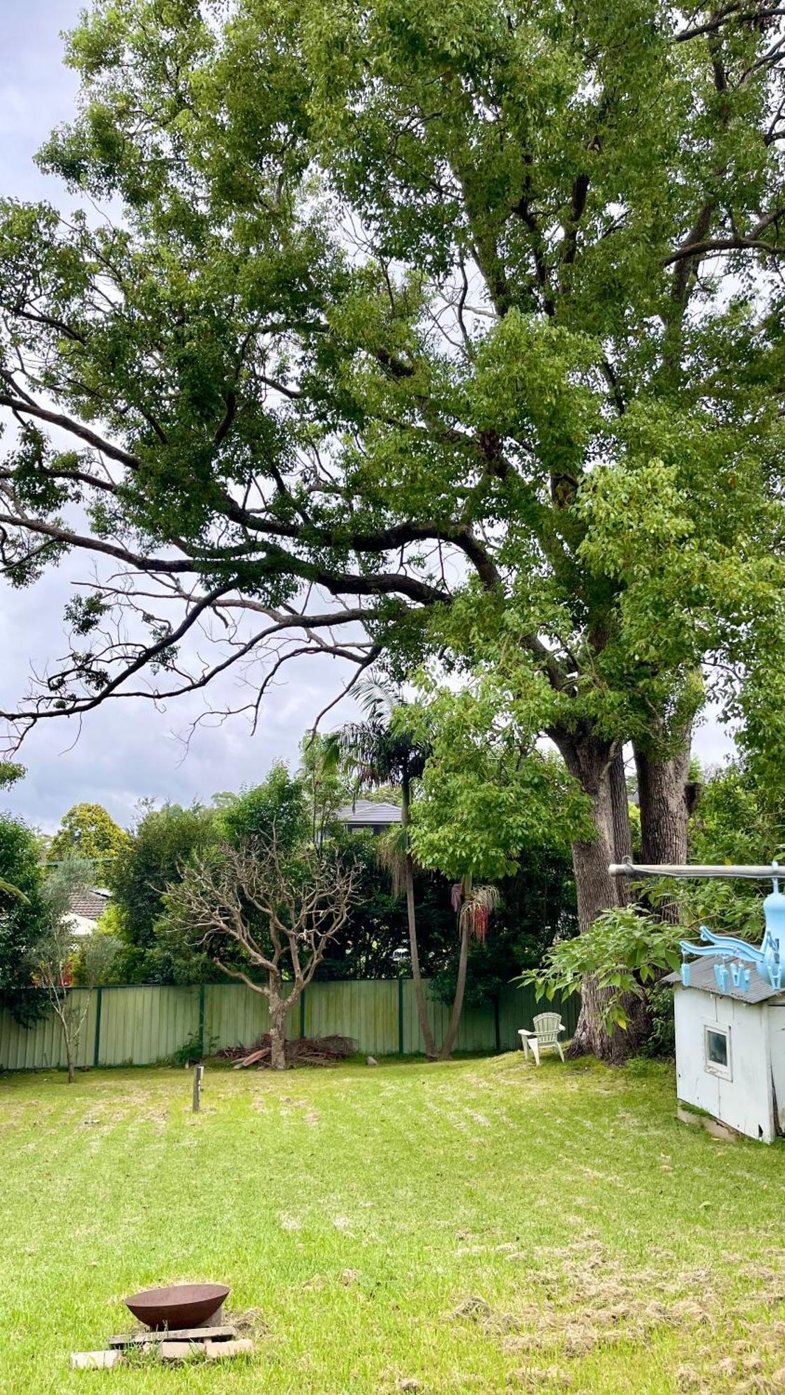 Spacious King Size Private Pet Friendly Homestay Sydney